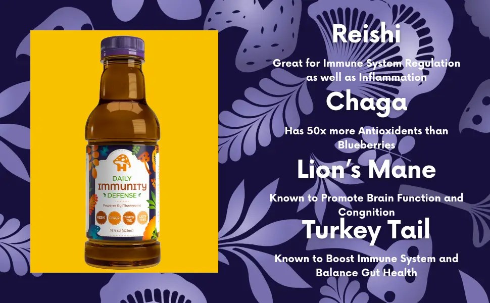 Hongo Daily Immunity Defense 12-Pack