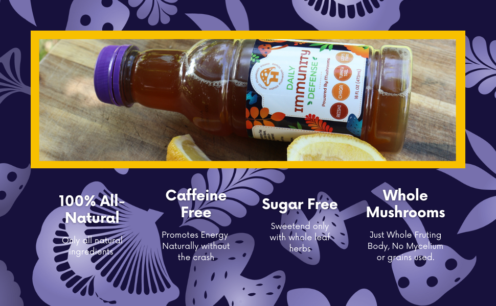 Hongo Daily Immunity Defense - Reishi, Lion's Mane, Turkey Tail, Chaga - 5600mg -Ready to Drink Mushroom Herbal Beverage