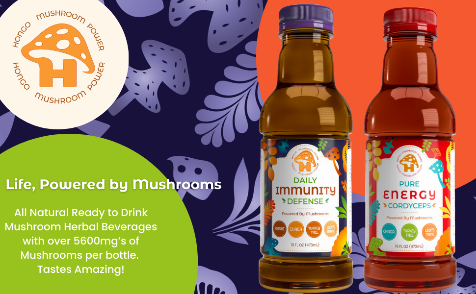 Hongo Pure Energy - Cordyceps, Lions Mane, Turkey Tail, Chaga, Hibiscus and Tulsi Rama - 5600mg of Mushrooms - Ready to Drink Mushroom Herbal Beverage