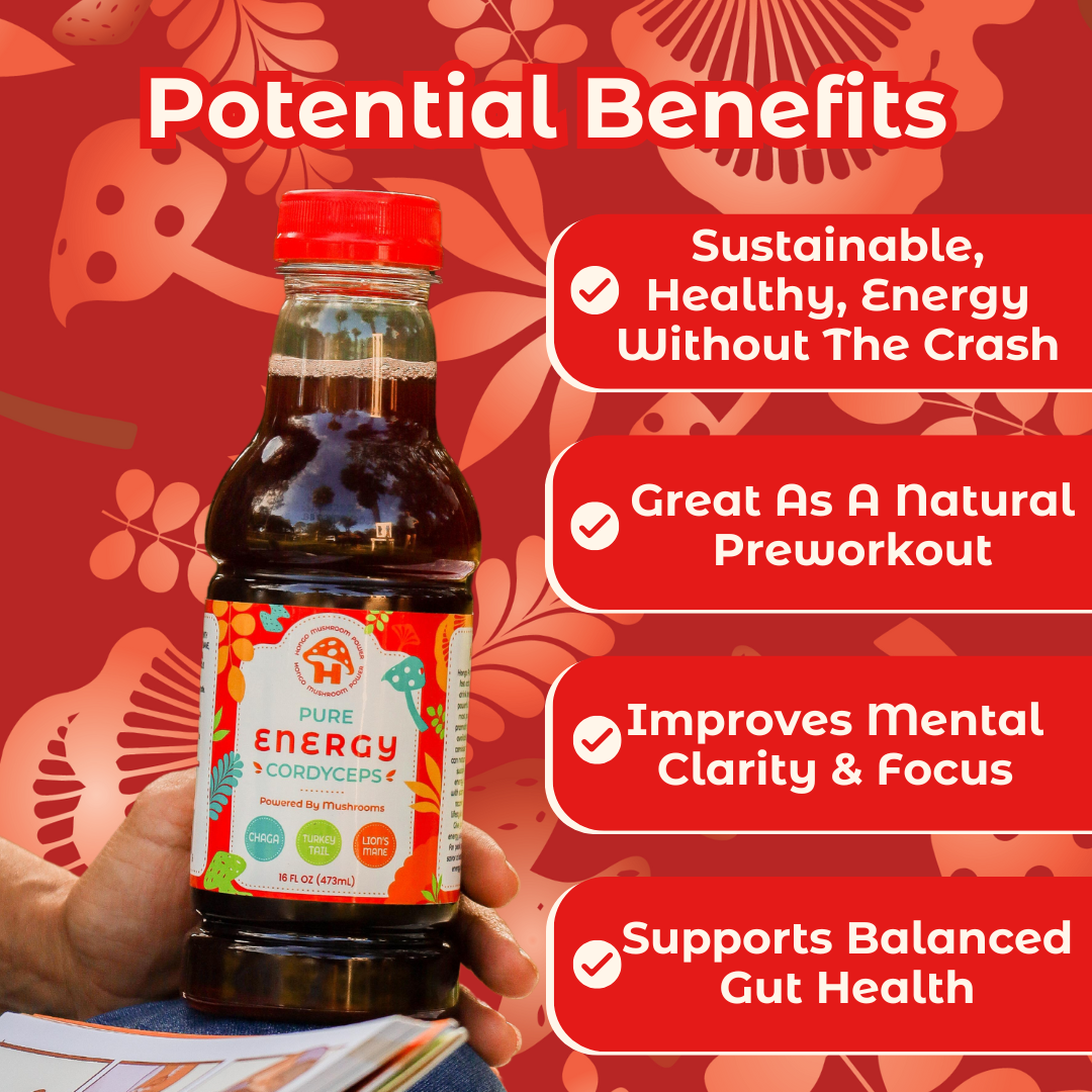 Hongo Pure Energy - Cordyceps, Lions Mane, Turkey Tail, Chaga, Hibiscus and Tulsi Rama - 5600mg of Mushrooms - Ready to Drink Mushroom Herbal Beverage