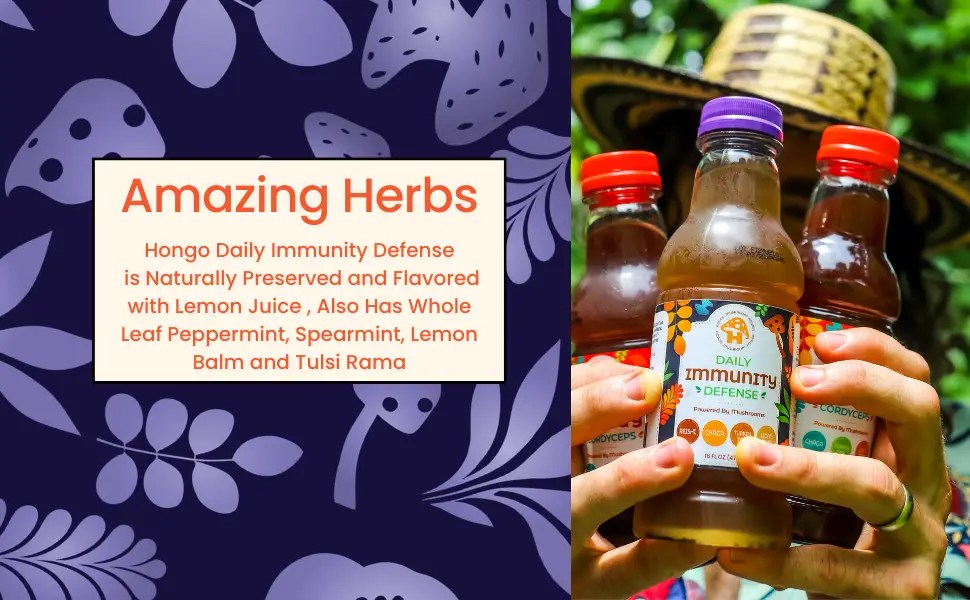 Hongo Daily Immunity Defense 12-Pack
