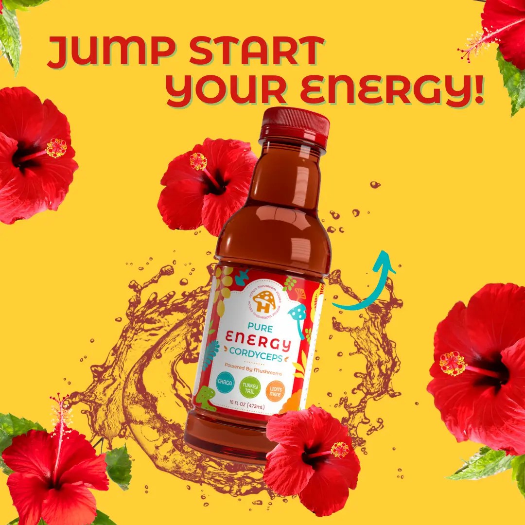 Hongo Pure Energy 16oz Bottles 12-Pack